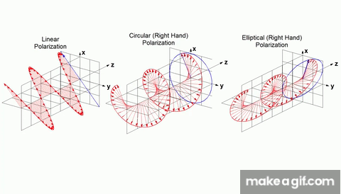 Types of Polarization